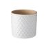 Plant Pot