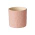 Plant Pot